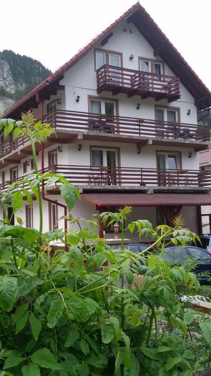 Pensiunea Malina Moeciu De Sus Ngoại thất bức ảnh